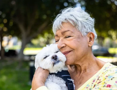 Pet-Friendly Assisted Care in Springfield, Oregon